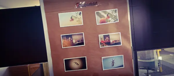 Friki Ofrenda (27).webp