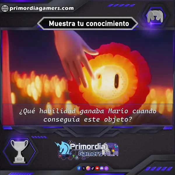 Qzz Gmr (105).webp