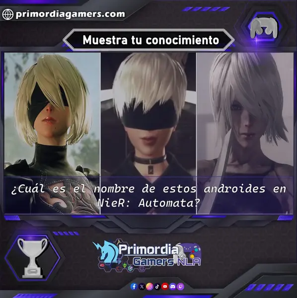 Qzz Gmr (146).webp