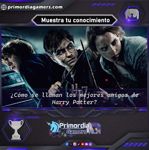 Qzz Gmr (192).webp