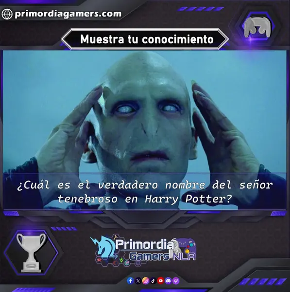 Qzz Gmr (195).webp