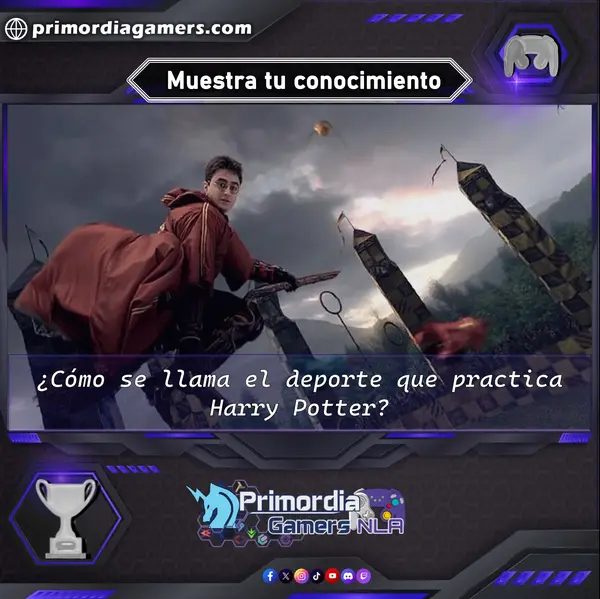 Qzz Gmr (200).webp
