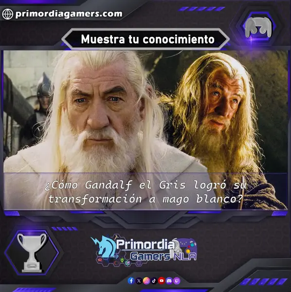 Qzz Gmr (237).webp