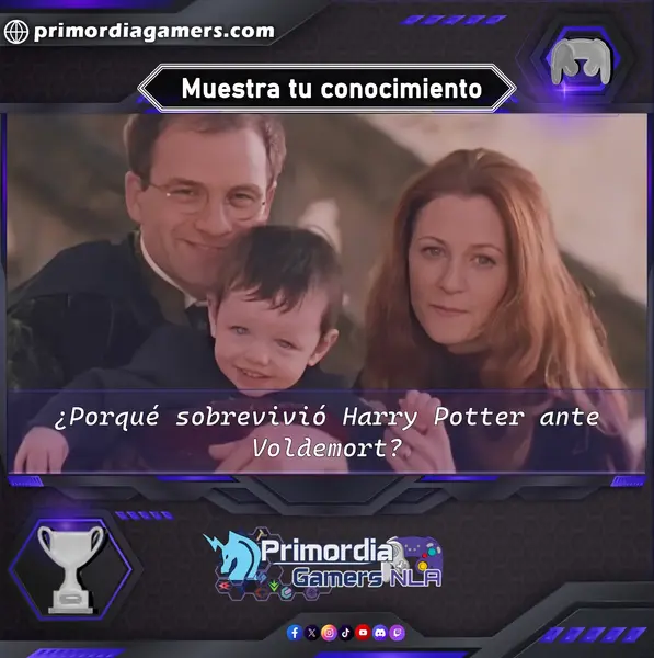 Qzz Gmr (239).webp