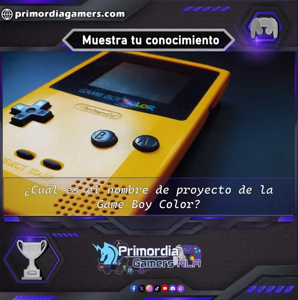Qzz Gmr (251).webp