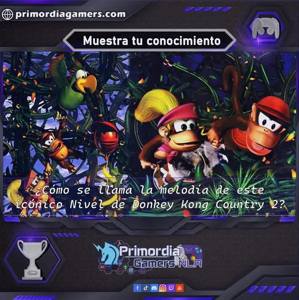 Qzz Gmr (30).webp