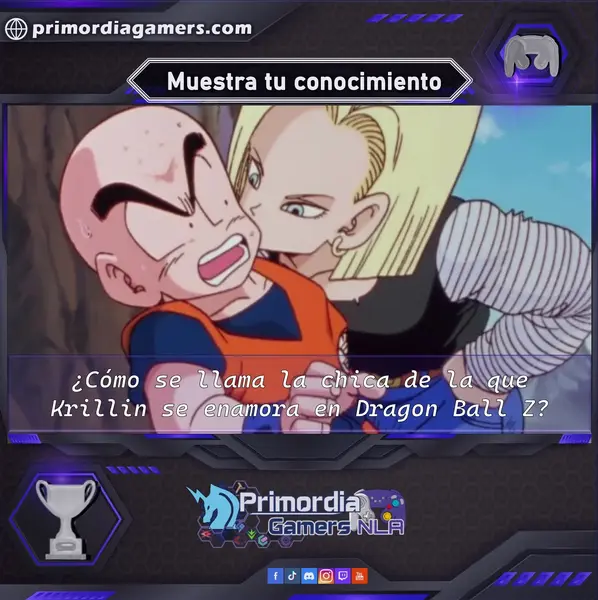 Qzz Gmr (33).webp